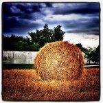 Da Sie keine Schlüsselwörter angegeben haben, wähle ich eines aus, das sich auf die von Ihnen bereitgestellte Beschreibung für die Überarbeitung bezieht:

Ein Heuballen auf einem Feld unter bewölktem Himmel.