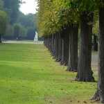 Eine Baumreihe in einem Park mit einer Statue in der Mitte.