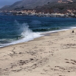 Eine Person lässt einen Drachen an einem Strand in der Nähe von Los Angeles in der Nähe eines Gewässers steigen.