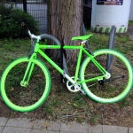 Ein grünes Fahrrad, das an einen Baum gelehnt ist.