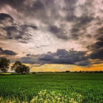 Ein grünes Feld unter bewölkten Wolken.