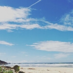 Ein malerischer Strand mit goldenem Sand und einem klaren blauen Himmel.