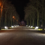 Eine von Bänken und Bäumen gesäumte Straße bei Nacht im Hofgarten Düsseldorf.