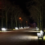 Eine Reihe von Bänken, die gleichzeitig als Möbel dienen, in einem Park bei Nacht.