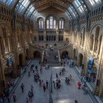 Das Natural History Museum in London.