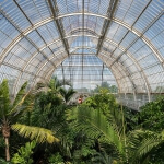 Ein Gewächshaus in Kew, London, mit vielen tropischen Pflanzen darin.