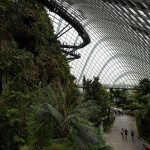 Gardens by the Bay, Singapur: Ein Schaufenster für Naturschutz und Artenvielfalt.