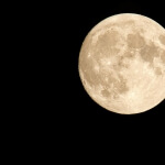 Wenn Sie nach draußen in den dunklen Himmel schauen, ist der Vollmond zu sehen.