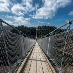 Eine Hängebrücke, bekannt als Geierlay-Brücke, über einen Wald in Deutschland.
