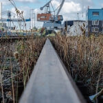 Ein Bahngleis mit einem Kran im Hintergrund am Hafen.