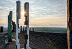 Eine Gruppe Holzpfähle auf der Halde Haniel in Bottrop.