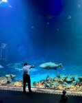 Ein Mann steht vor dem Hamburger Aquarium mit Fischen darin.